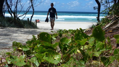 SaltBeach2302 - Accommodation Daintree 15