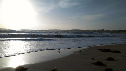 Sweet Spot Shellharbour - Accommodation Daintree 14