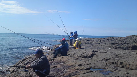 Sweet Spot Shellharbour - Accommodation Daintree 13