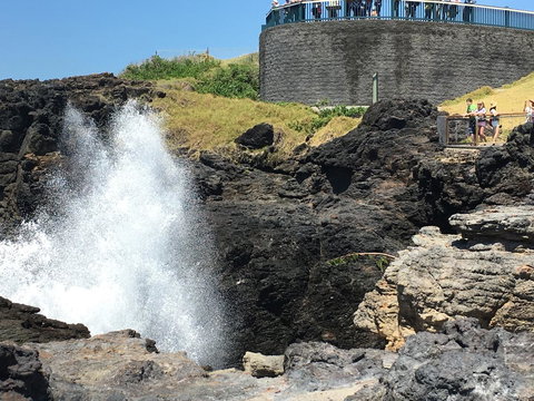 Sweet Spot Shellharbour - Accommodation Daintree 18