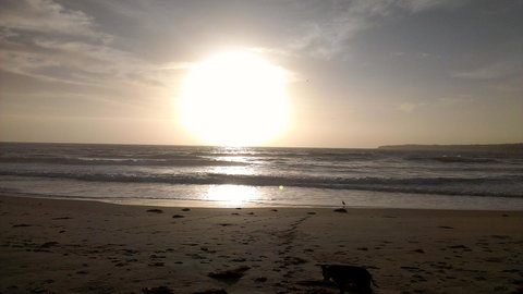 Sweet Spot Shellharbour - Accommodation Daintree 16