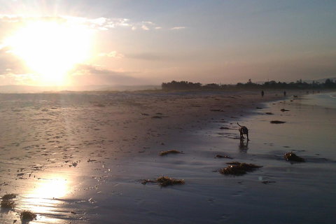 Sweet Spot Shellharbour - Accommodation Daintree 12