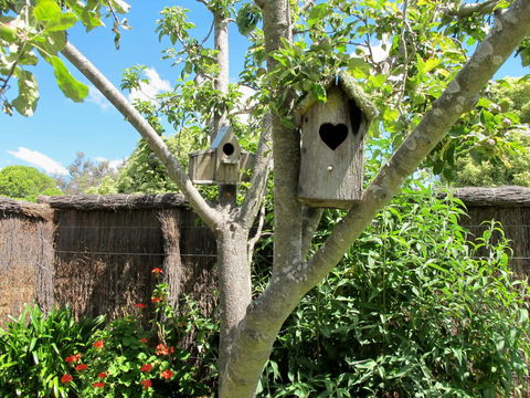 Apple Tree Cottage - Accommodation Daintree 28