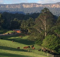 Amaroo Valley Springs - Accommodation Daintree