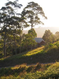 Book Bawley Point Accommodation Vacations Accommodation Daintree Accommodation Daintree