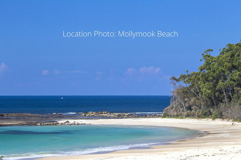Beachfront 2 - Accommodation Daintree 20