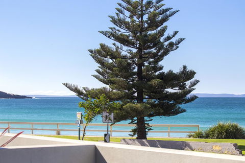 Beachfront 2 - Accommodation Daintree 19