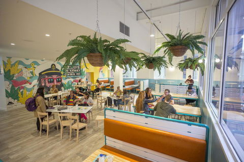 YHA Sydney Central - Accommodation Daintree 4