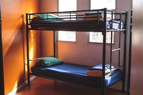 Mad Monkey Kings Cross - Accommodation Daintree 29