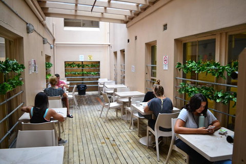 Maze Backpackers - Sydney - Accommodation Daintree 3