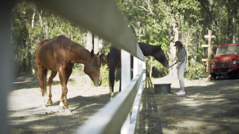 The Woods Farm Jervis Bay - Accommodation Daintree 13