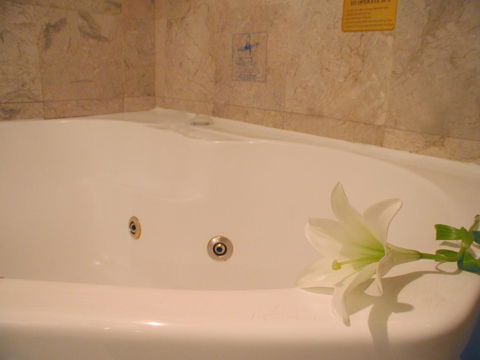 Novotel Sydney Brighton Beach - Accommodation Daintree 11
