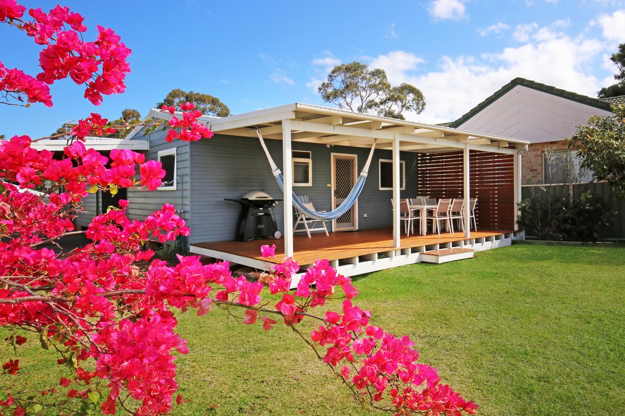 Cambewarra Mountain NSW Accommodation Daintree