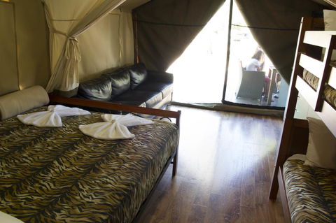 Discovery Parks - Dubbo - Accommodation Daintree 33