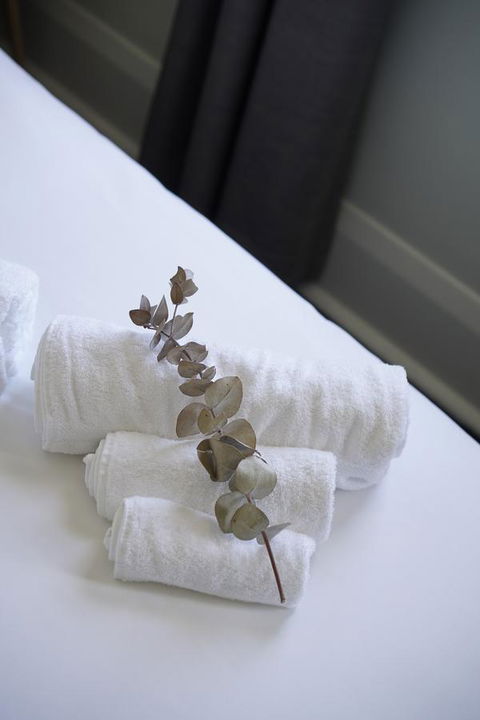 Rosehill Hotel - Accommodation Daintree 29