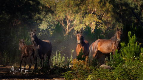 Pound Creek Gallery - Accommodation Daintree 18