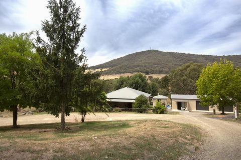 Pound Creek Gallery - Accommodation Daintree 24