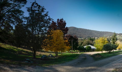 Pound Creek Gallery - Accommodation Daintree 7