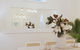 Huge Garden Apartment In The Heart Of Bondi Beach - thumb 17