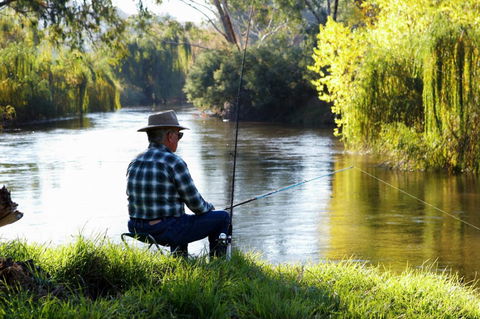 Mulwala Resort - Accommodation Daintree 42