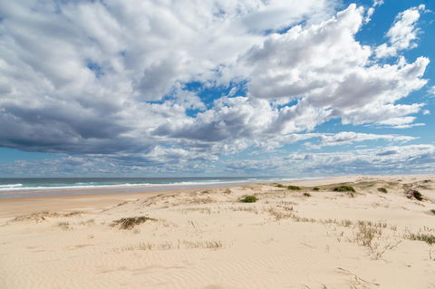 Birubi Beach Holiday Park - Accommodation Daintree 37