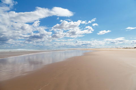Birubi Beach Holiday Park - Accommodation Daintree 41