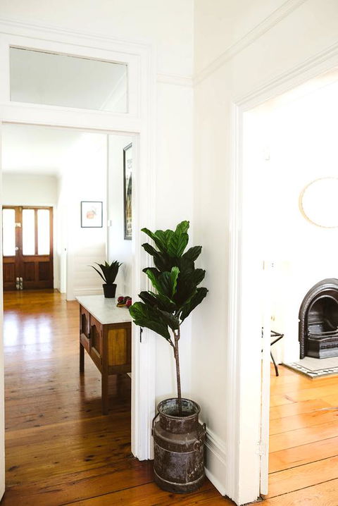 Morpeth Cottage - Accommodation Daintree 3