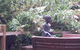 Lark Cottage - thumb 19