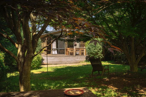 Lark Cottage - Accommodation Daintree 24