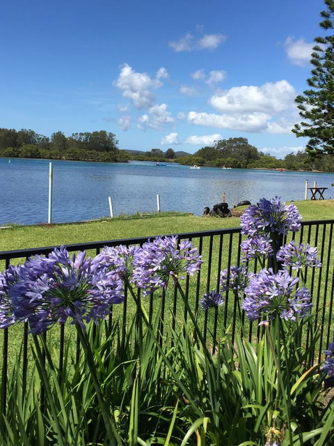 Swan Bay Hideaway - Accommodation Daintree 5