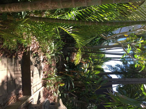 Swan Bay Hideaway - Accommodation Daintree 9