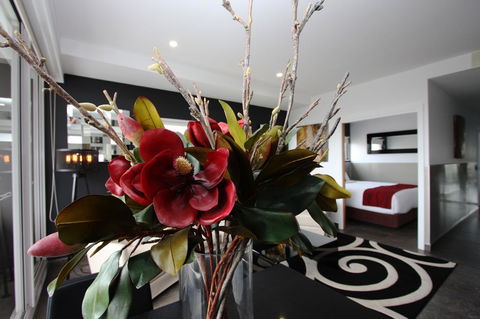 Honeysuckle Executive Apartments - Accommodation Daintree 31