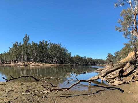 Corowa Bindaree Holiday Park - Accommodation Daintree 1