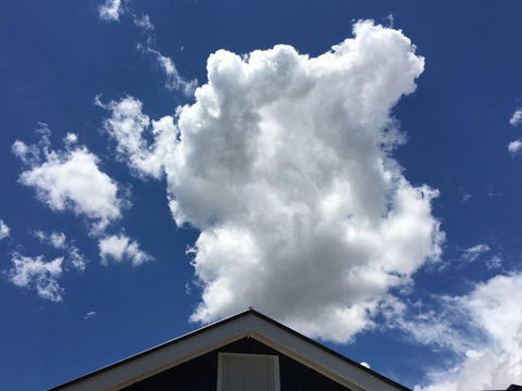 99 Hill Street Apartments - Accommodation Daintree 18