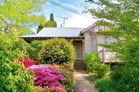 Dangal Gardens - Accommodation Daintree 1