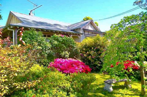Dangal Gardens - Accommodation Daintree 2