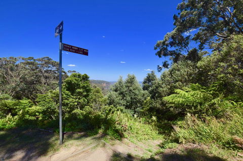 Dangal Gardens - Accommodation Daintree 30