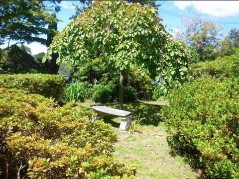 Dangal Gardens - Accommodation Daintree 26