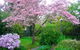 Dangal Gardens - thumb 3