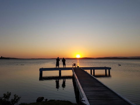 Squid\'s Ink Motel - Accommodation Daintree 4