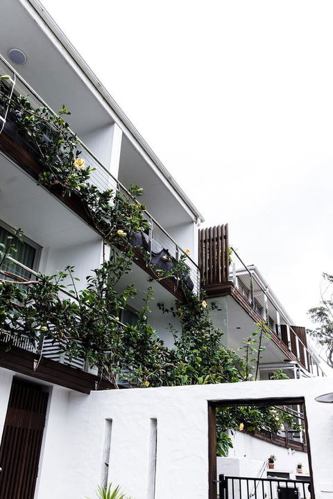 Bannisters By The Sea Mollymook - Accommodation Daintree 4
