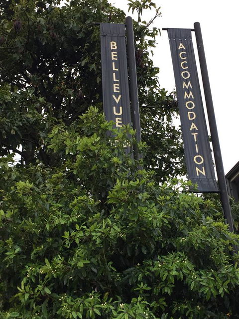 Bellevue Accommodation - Accommodation Daintree 17