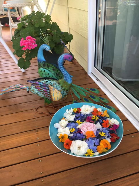 The Best Exotic Magnolia Cottage - Accommodation Daintree 8