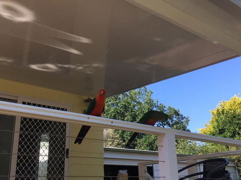 The Best Exotic Magnolia Cottage - Accommodation Daintree 11