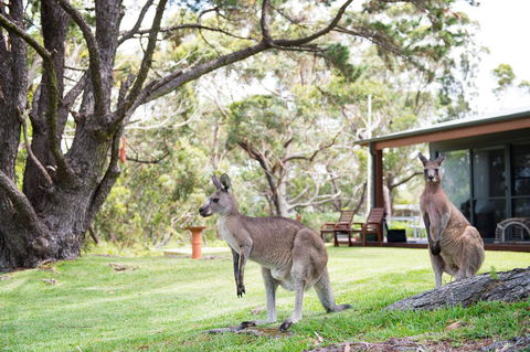 By The Beach B&B Self Contained Apartments - Accommodation Daintree 17