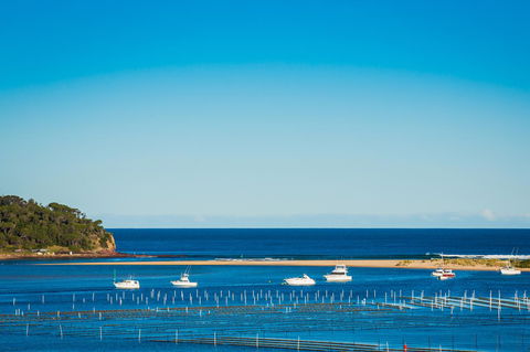 Baywatch Apartments Merimbula - Accommodation Daintree 29