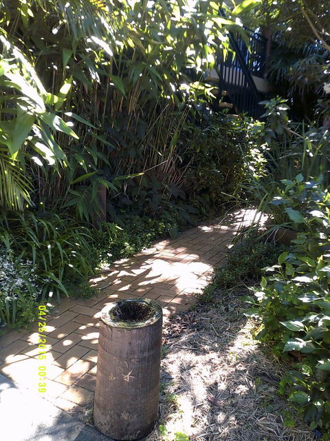 Pelican H2O One & Two Bedroom Apartments - Accommodation Daintree 12
