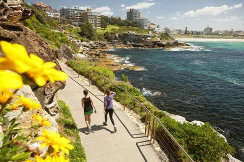 Right On Bondi - Accommodation Daintree 11