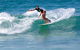 Right On Bondi - thumb 17