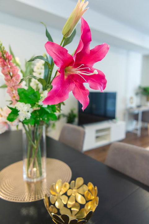 Sydney CBD Brand New Apartments With Hyde Park View - Accommodation Daintree 6
